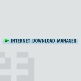 Internet Download Manager